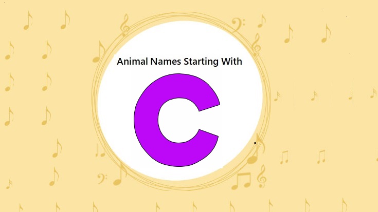 Animal Names Starting with C - BuyingJunction.com