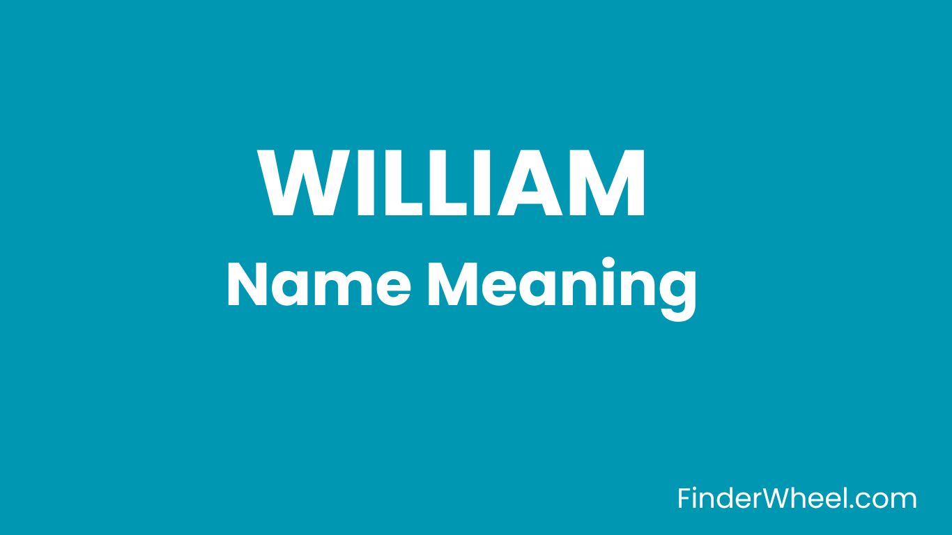 William Name Meaning Origin Popularity And Nicknames