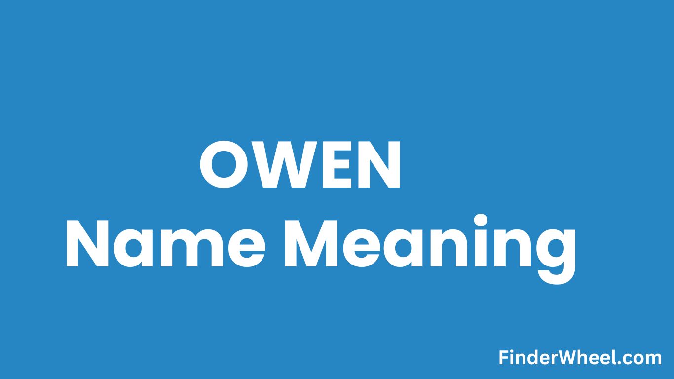 Owen Name Meaning, Origin, Popularity and Nicknames
