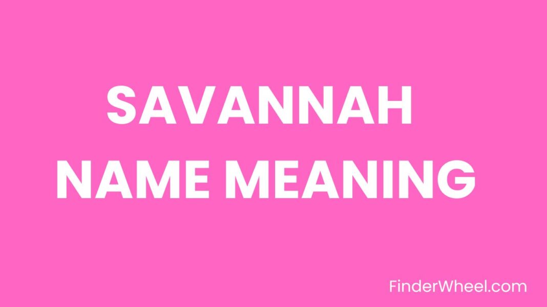 savannah-name-meaning-origin-popularity-and-nicknames