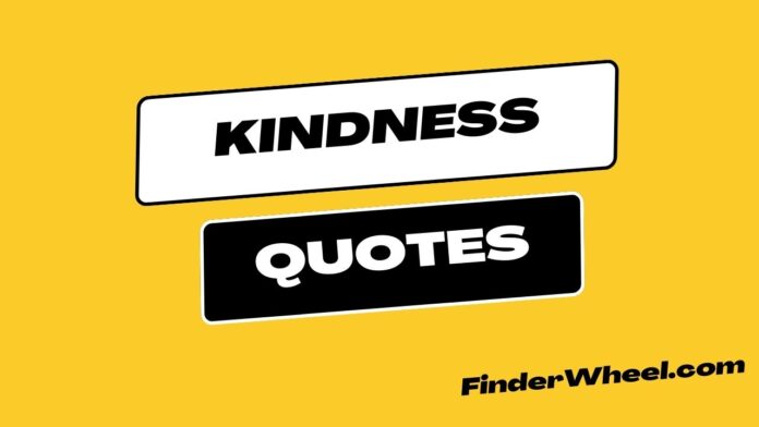 Kindness Quotes 1 696x392 