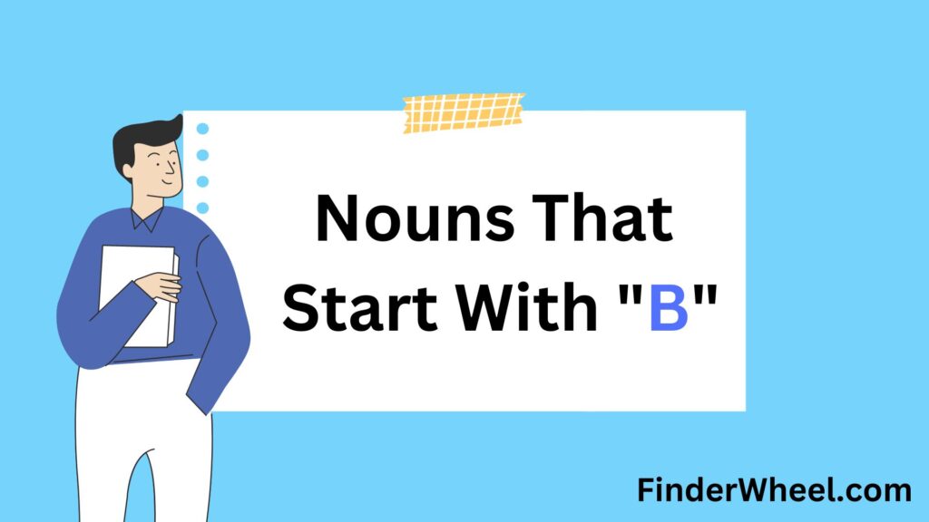 200 Nouns That Start With B (2024) - FinderWheel.com