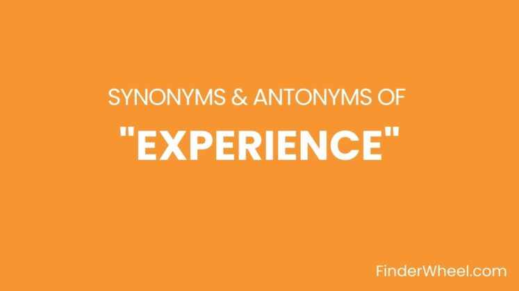 experience-synonyms-100-synonyms-antonyms-of-experience